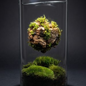 Rastlinné terárium MrVarium® Eternity Gravity II