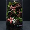Set na výrobu rastlinného terária MrVarium® Easy Meadow