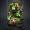 Set na výrobu rastlinného terária MrVarium® Easy Meadow