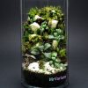 Set na výrobu rastlinného terária MrVarium® Easy Meadow