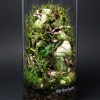 Set na výrobu rastlinného terária MrVarium® Easy Meadow