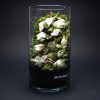 Set na výrobu rastlinného terária MrVarium® Easy Meadow