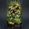 Set na výrobu rastlinného terária MrVarium® Easy Meadow
