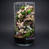 Set na výrobu rastlinného terária MrVarium® Easy Meadow