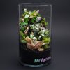 Set na výrobu rastlinného terária MrVarium® Easy Meadow