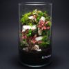 Set na výrobu rastlinného terária MrVarium® Easy Meadow
