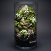 Set na výrobu rastlinného terária MrVarium® Easy Meadow