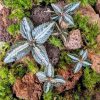 Set na výrobu rastlinného terária MrVarium® Easy Meadow