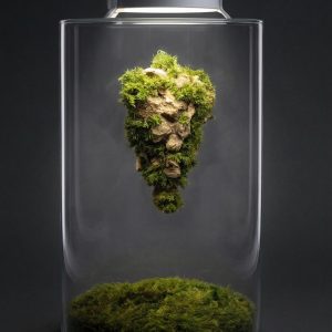 Rastlinné terárium MrVarium® Eternity Gravity I