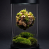 Set rastlinne terárium Eternity Gravity II + svetlo+ podstavec